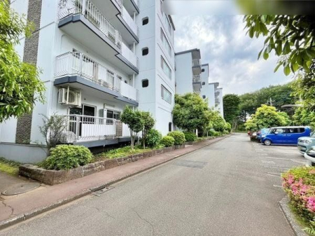 ���̑� �������ǍD�ȗ��n