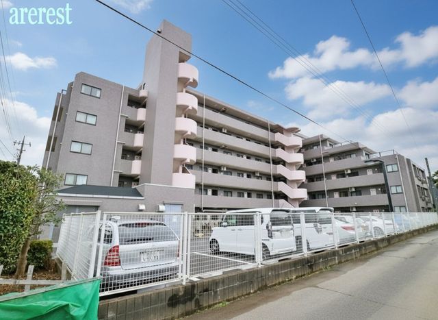 ���n�O�ώʐ^ �����V�h���u���R�s�v�w�܂œk��14��