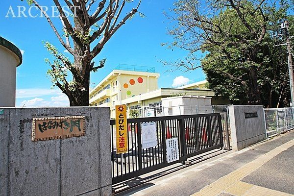 ���ӊ� �V���s���V�����w�Z �k��9���B�w�Z�̉Ԃ́u���Ԃ��v�A�w�Z�k���̖�Ɂu�Ђ߂��Ԃ��v�̖؂�����A�q���B�̓o�Z��������Ă��܂��B 710m