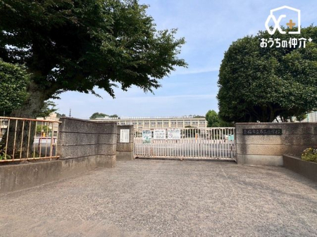 ���ӊ� �~�s����O���w�Z �k��15���B 1170m