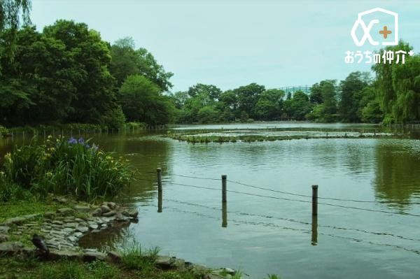 ���ӊ� �P�����k�Βn �k��11���B 810m