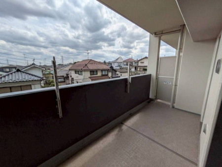 �o���R�j�[ ��������̗ǂ��o���R�j�[