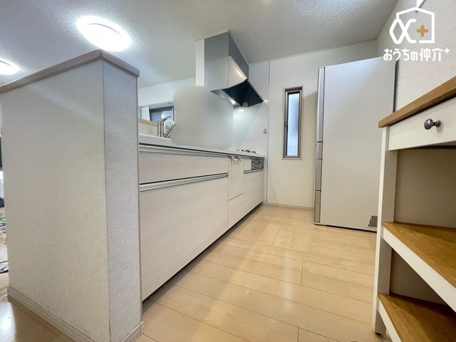 �L�b�`�� �L�b�`���̗l�q