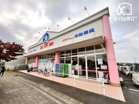 ���ӊ� �������ӂ��ݖ�X �k��3���B�c�Ǝ���10���`20�� 200m