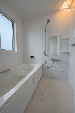 ���� �傫�ȑ������芷�C���΂�����I