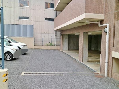 ���̑� ���n�̗l�q