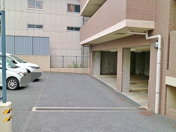 ���̑� ���n�̗l�q