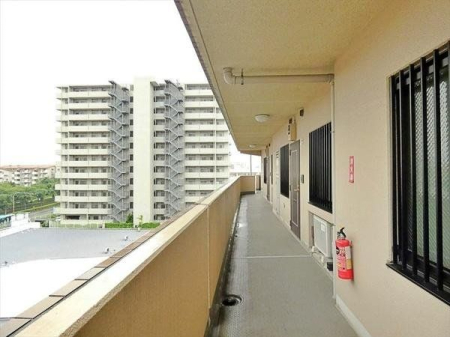 ���̑� �`���n����̒��]�`