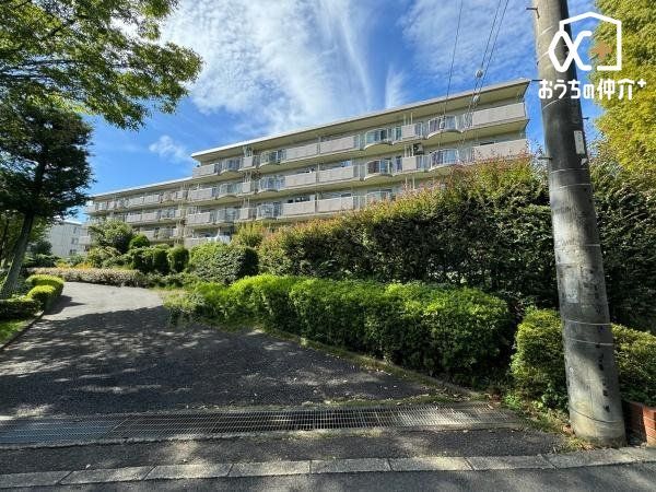 ���n�O�ώʐ^ �S�����ː�200�ȏ�̃r�b�O�R�~���j�e�B