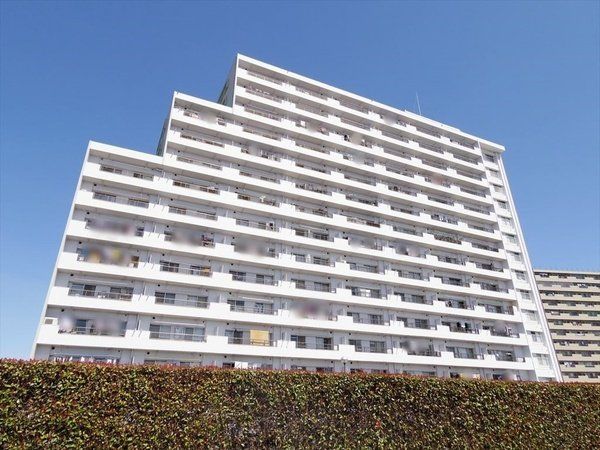 ���n�O�ώʐ^ �����V�h���u�V����v�w���o�X10��