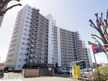 ���̑� 3�����琬���K�̓}���V����