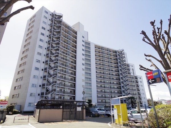 ���̑� 3�����琬���K�̓}���V����