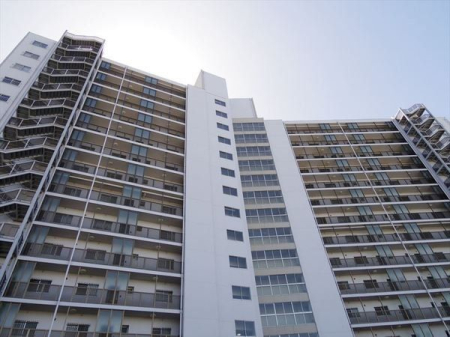 ���̑� ��؂ȃy�b�g�ƈꏏ�ɕ�点�܂�(�K��L)