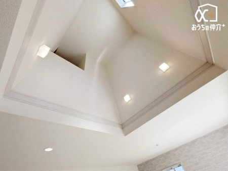 ���̑� �������̗l�q