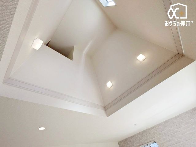 ���̑� �������̗l�q