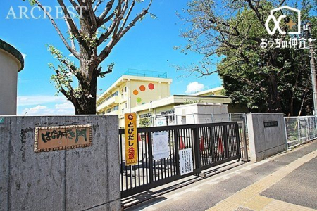 ���ӊ� �V���s���V�����w�Z �k��13���B�w�Z�̉Ԃ́u���Ԃ��v�A�w�Z�k���̖�Ɂu�Ђ߂��Ԃ��v�̖؂�����A�q���B�̓o�Z��������Ă��܂��B 1030m