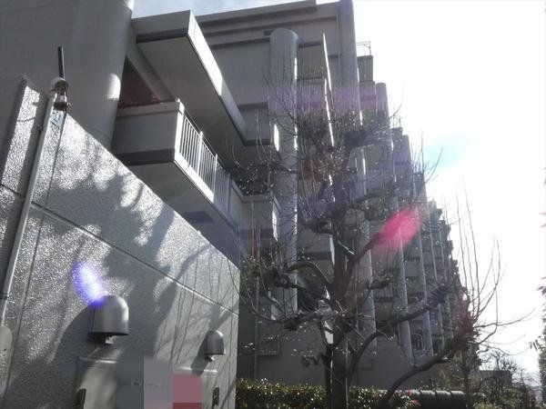 ���̑� �����������ՐÂȏZ��X�ł��B