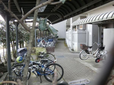 ���̑� ���֏�