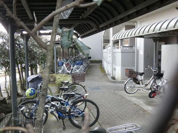 ���̑� ���֏�