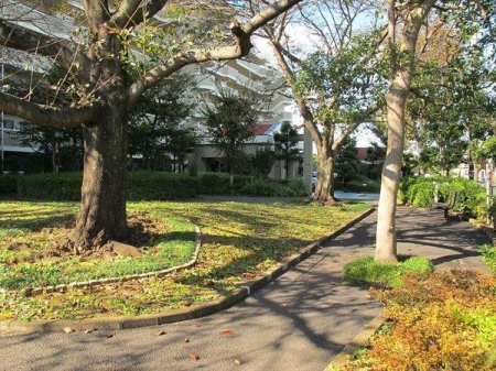 ���̑� ���p����