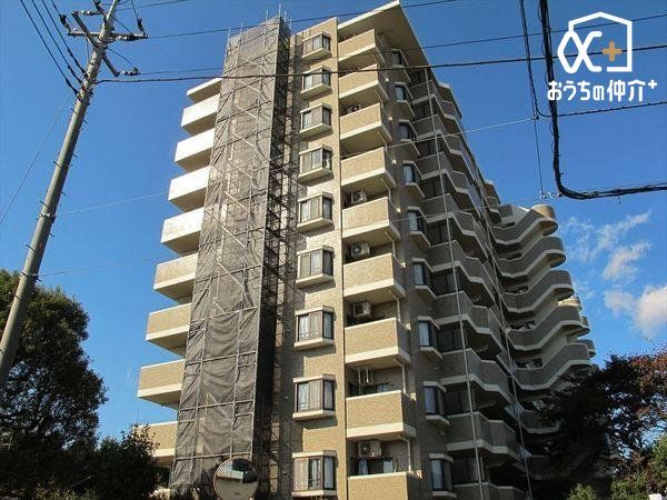 ���̑� ���̑����n