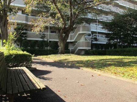 ���̑� ���p����