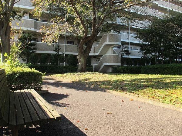 ���̑� ���p����