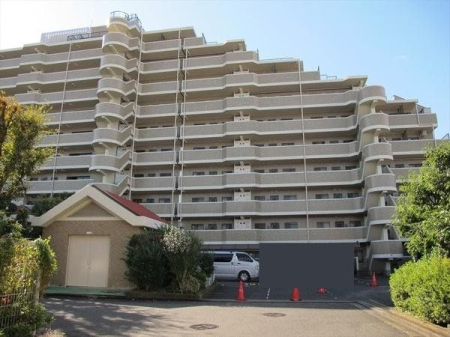 ���̑� ���̑����n