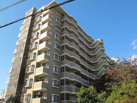 ���̑� ���̑����n