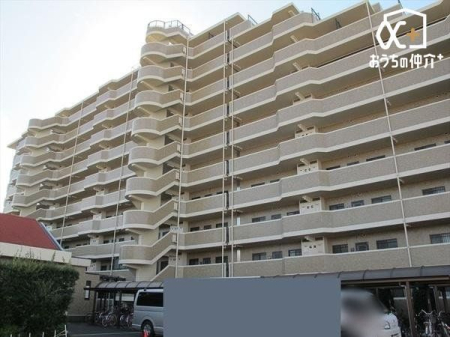 ���̑� ���̑����n