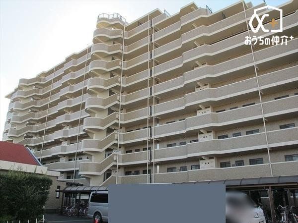 ���̑� ���̑����n