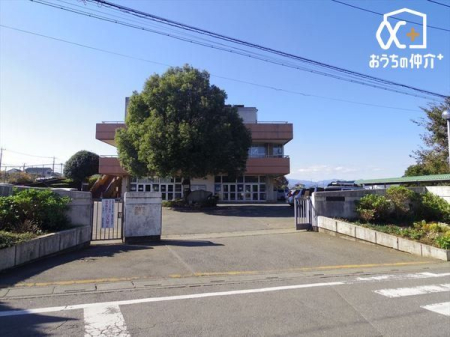 ���ӊ� ���R�s���������w�Z �k��12���B�y�������w�Z�z�w������߂����R���L���Ńo�����X�̂Ƃꂽ�w�Z�ł� 900m