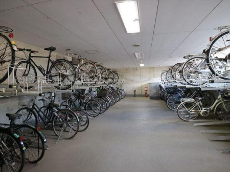 ���̑� ���֏�