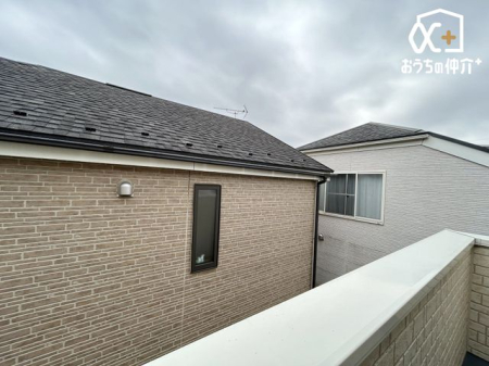 ���̑� �o���R�j�[���猩�����]