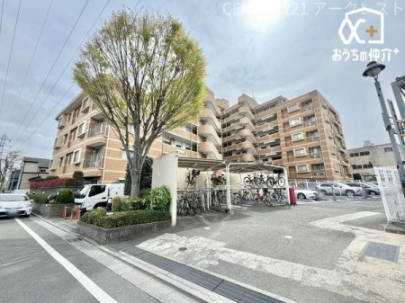 ���n�O�ώʐ^ ���R�L���Ȋ�