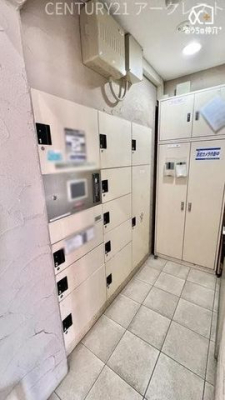 ���̑� ��z���b�J�[