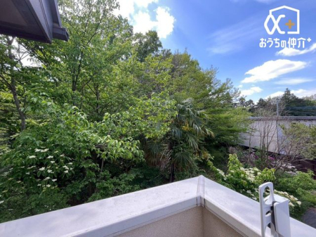 �o���R�j�[ �z������̗ǂ��o���R�j�[�̗l�q�ł��B