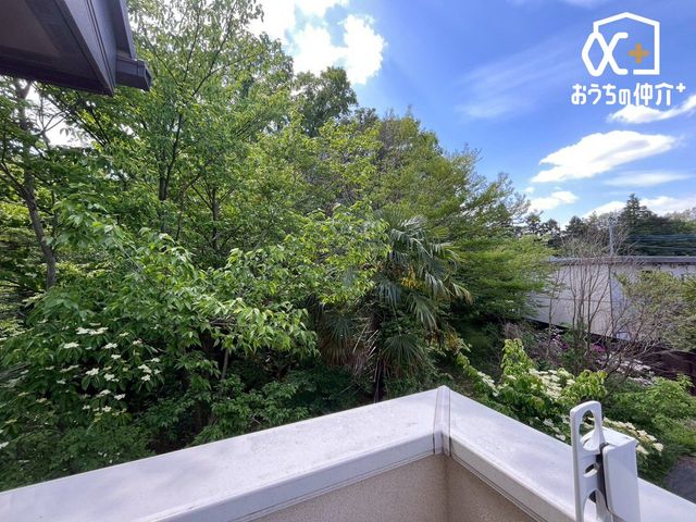 �o���R�j�[ �z������̗ǂ��o���R�j�[�̗l�q�ł��B