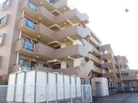 ���̑� ���̑����n