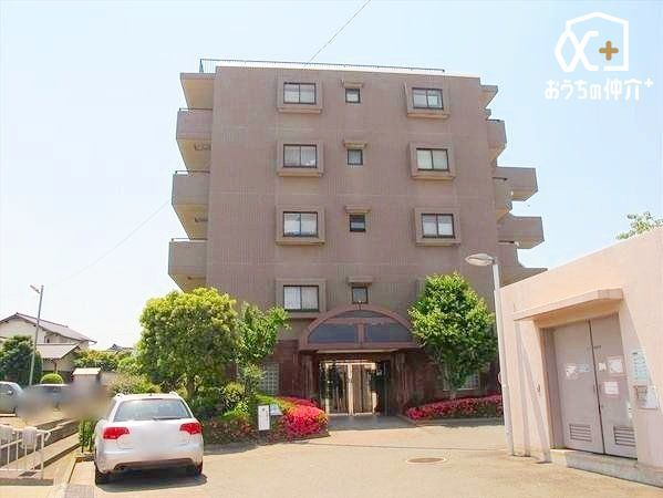 ���̑� ���̑����n