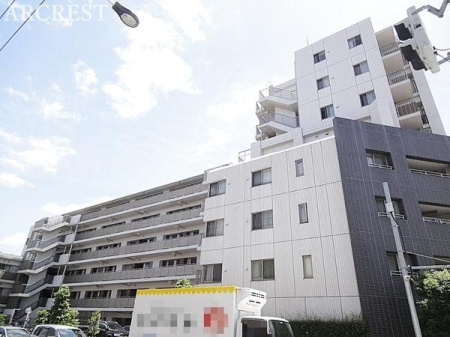 ���̑� ���̑����n