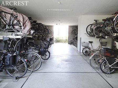 ���̑� ���p����