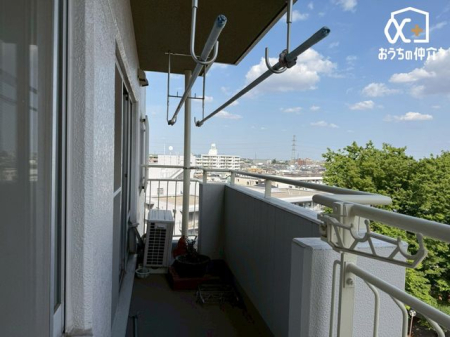 �o���R�j�[ �o���R�j�[�̗l�q