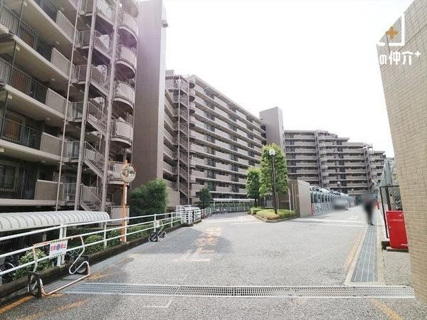 ���̑� �L�X�����~�n��