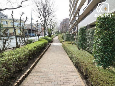 ���̑� �~�n�������U���ł��܂�