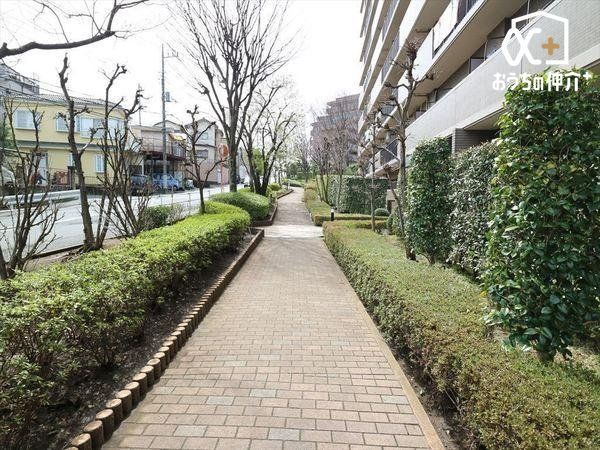 ���̑� �~�n�������U���ł��܂�