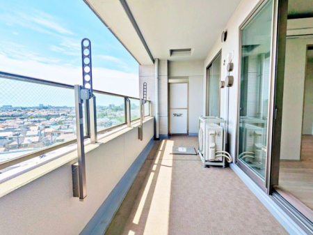 �o���R�j�[ ���w�}���V�����Ȃ�ł͂̒��]�ŁA�C���]�����ł���Z���B