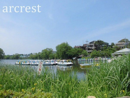 ���ӊ� �ΐ_������E�ΐ_��r �k��19���B�{�[�g�V�т��ł���傫�Ȓr��A�W���M���O�R�[�X�A�L��̂��闎�������������ł��B�y�b�g�����A�U���R�[�X�Ƃ��Ă��֗��ł��B 1460m