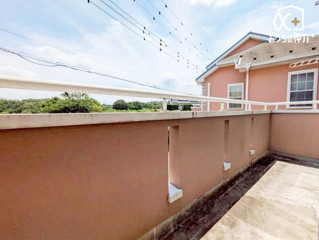�o���R�j�[ �o���R�j�[�̗l�q�ł��B���󕨂���z�c����������ł��A���z�̌��������Ղ藁�т���C�����悭�����܂��ˁB