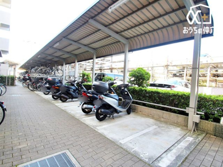 ���̑� ���֏�͉����t���ŉJ�̓��ł��G��邱�ƂȂ����S�ł��B�܂��A�Ă͏����z�˂�������򉻂�����Ă���܂��B